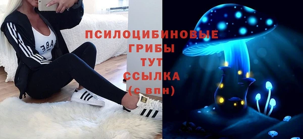 a pvp Алзамай