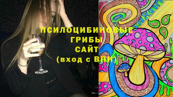 ешки Алексеевка