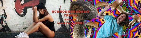 таблы Алексин