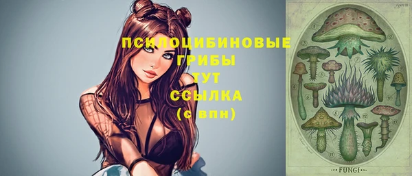 ешки Алексеевка