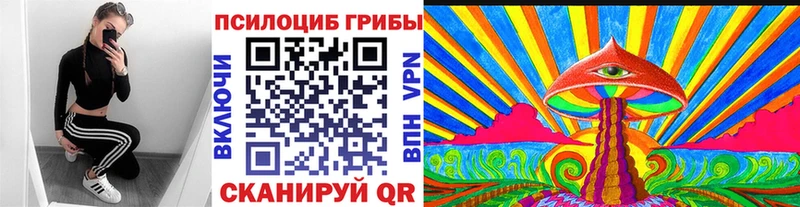 MEGA как зайти  дарнет шоп  Ачинск  Псилоцибиновые грибы GOLDEN TEACHER 