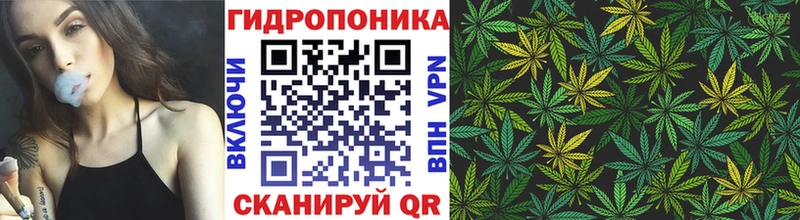 ОМГ ОМГ ONION цена наркотик Ачинск Канабис планчик